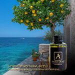 Mediterranean Breeze